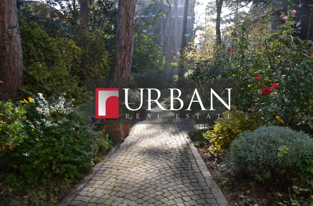 Urban Real Estate