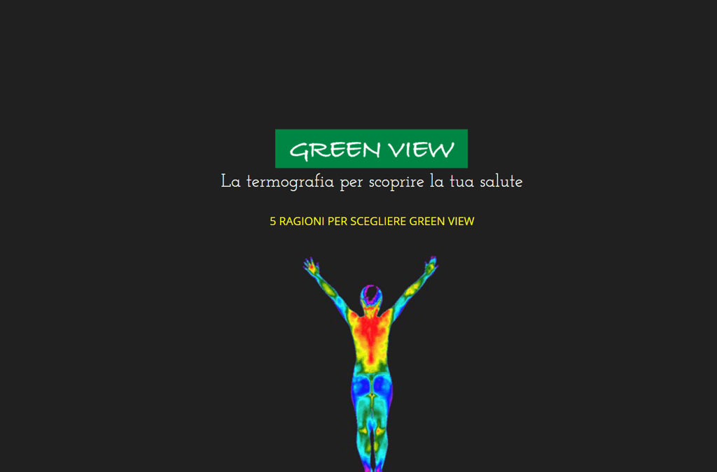 Realizzazione sito web Greev View