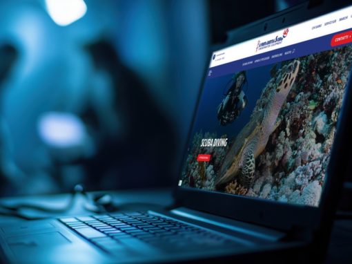 Realizzazione sito web BignamiSub